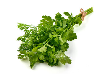 Bunch of fresh coriander leaves, isolated on white background.