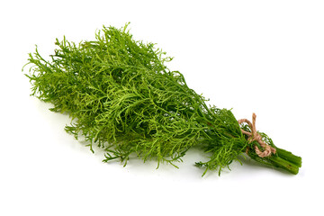 Fennel bunch isolated on white background.