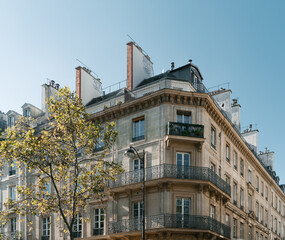Fototapeta na wymiar La Romance de Paris