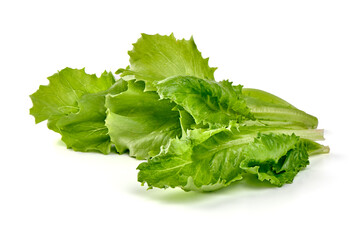 Lettuce Salad leaves, isolated on white background.