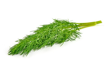 Fresh dill bunch, fresh condiments, isolated on white background.