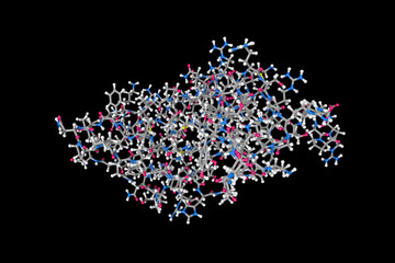 Fold of the core binding factor alpha. Atoms are shown as spheres with conventional color coding: carbon (grey), oxygen (red), hydrogen (white), nitrogen (blue), sulfur (yellow). 3d illustration