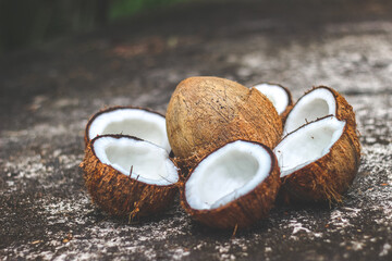 Coconut  | the edible fruit of the coconut palm (Cocos nucifera), a tree of the palm family. 