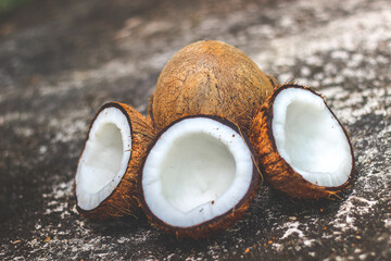 Coconut  | the edible fruit of the coconut palm (Cocos nucifera), a tree of the palm family. 