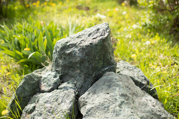 Stone in park. Landscape in garden. Decoration in garden.