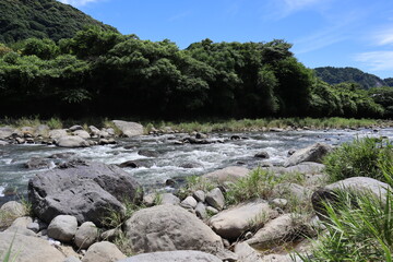 mountain river in the forest in japan