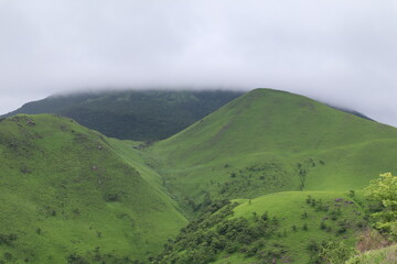 landscape in the morning