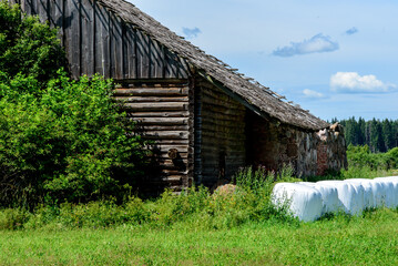 .beautiful white hay rolls against an old barn wall green grass on a sunny day © Aivis