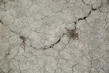 Dry ground close up