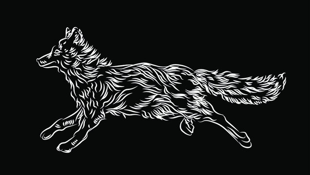 Sketch wolf, animals illustration isolated on black background. Concept for logo, print, cards, mascot, icon