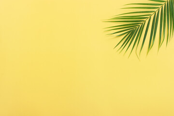 Image of tropical green palm over yellow pastel background