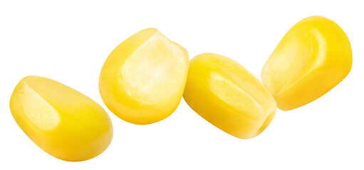 Flying corn seeds, isolated on white background