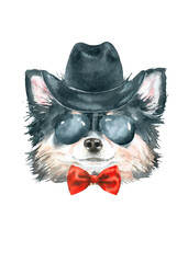 Watercolor dog breed black long-haired chihuahuain cowboy hat illustration, dog head hipster portrait, dog in funny hat, puppy fashion print, cute baby dog isolated on white background printable
