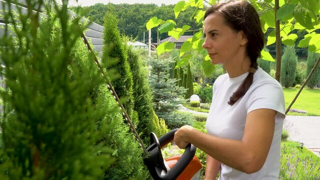 Young beautiful girl cuts juniper in the garden. A woman with a brush cutter makes pruning of juniper and arborvitae in the garden. The concept of garden design and technology.