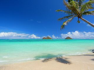 ハワイ、オアフ島、晴天のラニカイビーチ