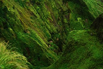 Sete Cidades crater detail, Sao Miguel, Azores, Portugal - obrazy, fototapety, plakaty
