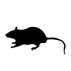Rat Silhouette Vector