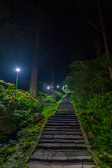 Obraz premium 出羽三山神社(羽黒山)のライトアップ