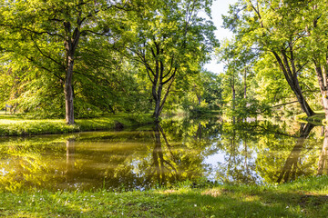 Summer park garden landscape with a duck pond
