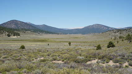 Mountain and tree landscapes on the long distance hiking path Pacific Crest Trail on the California...