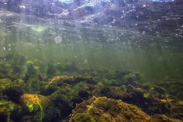 sun rays under water landscape, seascape fresh water river diving