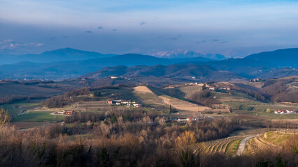 Fototapeta na wymiar Spring sunset in the vineyards of Collio Friulano