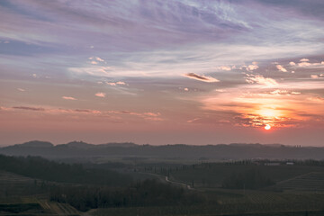 Obraz premium Spring sunset in the vineyards of Collio Friulano