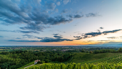 Colorful sunset in the vineyards of Savorgnano del Torre