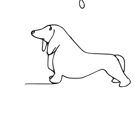 Labrador cute line art drawing