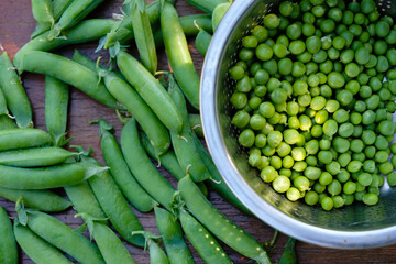 Green peas in a metal colander. Pea pods on a wooden surface. Sunlight.