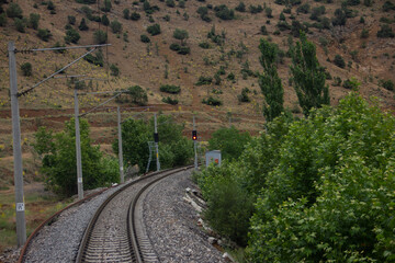 train track in nature and forest