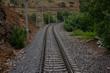 train track in nature and forest