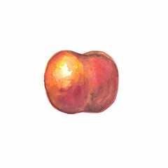 Yellow orange pink red burgundy fluffy peach watercolor illustration
