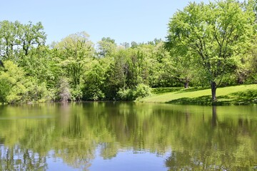 Fototapeta na wymiar The peaceful reflecting lake in the countryside.