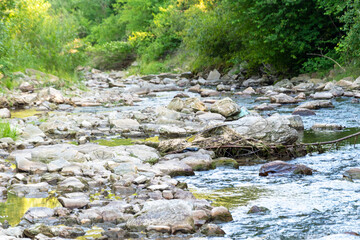 Naklejka na ściany i meble River in the summer forest. Summer view of the river. The river flows in the summer forest. Rocky river bank in the forest. River forest landscape. Ukraine, July 2022.