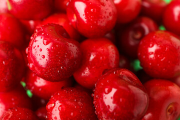 Sweet ripe cherries with water drops as background, closeup