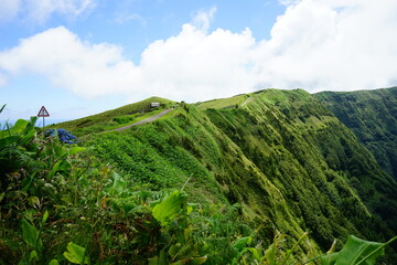 Sete Cidades ancient volcano hedge, Azores islands, Sao Miguel, Portugal