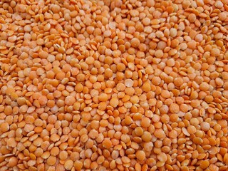 Full background of orange lentils, also known as Syrian lentils, top view, backgrounds and textures.