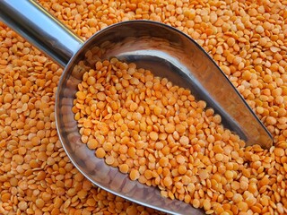 Orange lentils, also known as Syrian lentils, with a stainless steel measuring spoon.