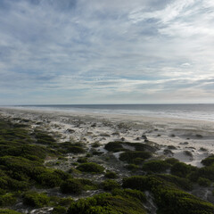 Aerial photos of Sao Joao beach. Virgin beach in a protected natural area.
