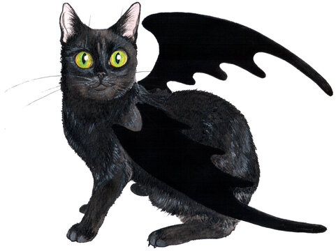 Black curious cat with bat wings on white background. Mystic creature of the Halloween night
