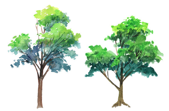 A set of watercolor trees sketch on white background. Traditional artwork, template