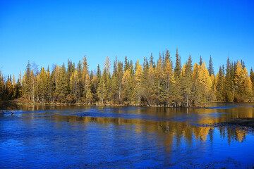 Fototapeta na wymiar scenic, autumn landscape trees and forest river and lake, nature view fall background