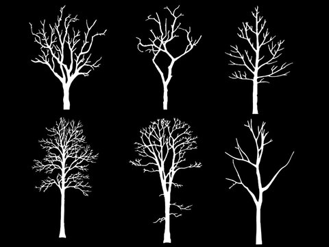 Simple tree vector  illustration 
