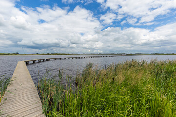 Landscape nature reserve 't Roegwold near the town of Schildwolde in the Dutch province of Groningen with club path through the water against a background with blue sky with cumulus clouds