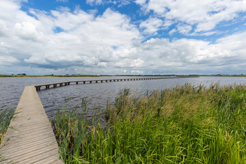 Landscape nature reserve 't Roegwold near the town of Schildwolde in the Dutch province of...