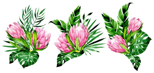 Fotobehang aquarel tekening. set van boeketten van tropische bloemen en bladeren. roze protea bloemen en monstera bladeren, palmen. ontwerp elementen © Татьяна Гончарук