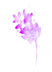 Obraz premium colorful beautiful watercolor flower on a white background