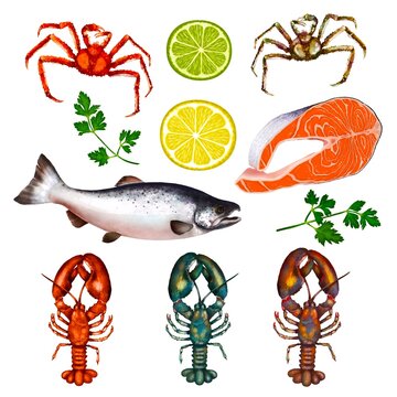 Set of realistic painted seafood, parsley, lemon and lime slices isolated on white background for you menu or recipe design