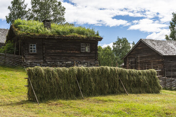 Fototapeta na wymiar Traditional haystacks at Valdres Folk Museum, Oppland, Norway.